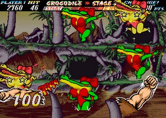 image de The First Funky Fighter